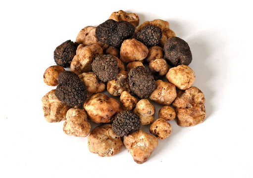 black and white truffles
