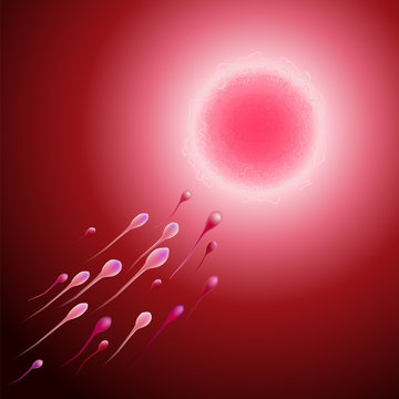 Concept of fertilization, background, vector, mesh used