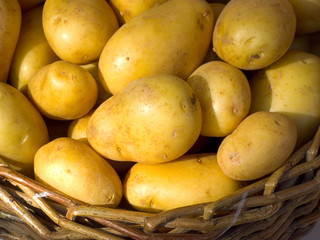 Kartoffeln im Korb