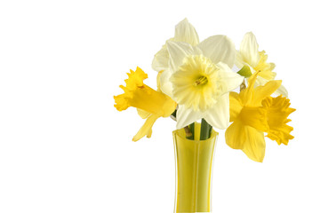 Bouquet of narcissuses.