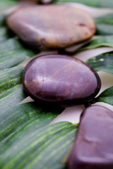 Stones on green leaf