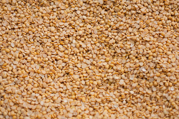 bean dry out