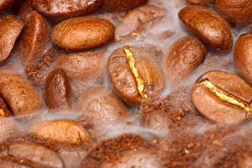 fragrant fried coffee beans with smoke
