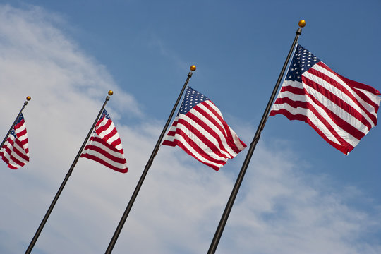 American flags