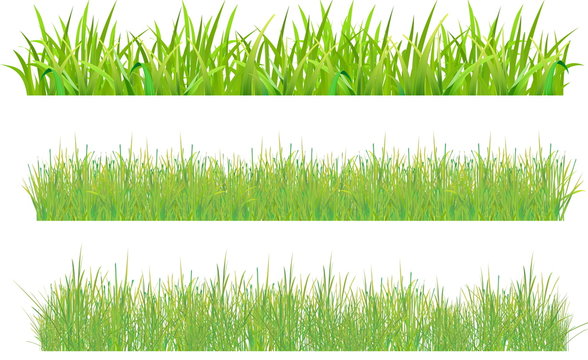 Set grass
