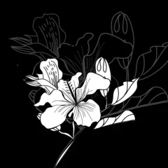 Cercles muraux Fleurs noir et blanc Fond noir et blanc avec des fleurs blanches