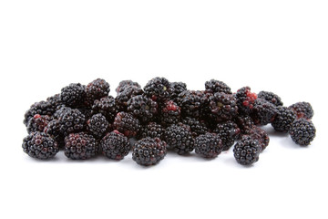 Blackberries