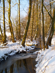 Fototapeta na wymiar creek in winter