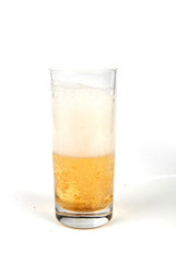 beer