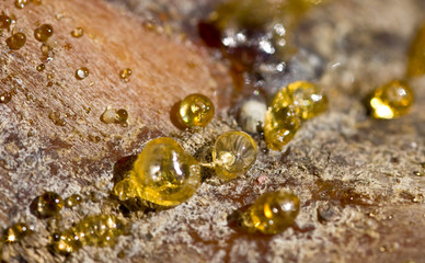 Natural gold