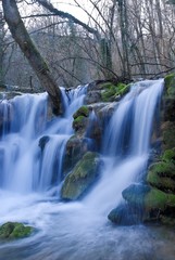 Fototapeta premium spring river