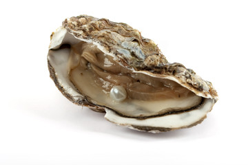Auster mit Perle - 22217933