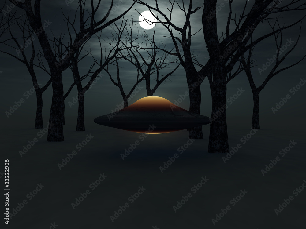 Wall mural ufo in the forest