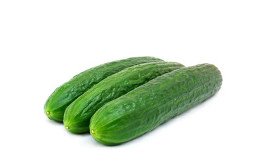 Fresh Green Cucumber