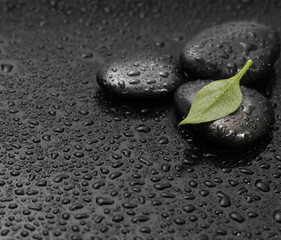 Obraz na płótnie Canvas black stone with leaf