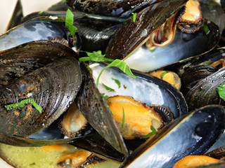 Steamed Mussels