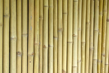 Bamboo wall