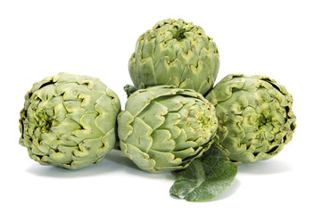 Obraz premium artichokes