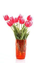 Beautiful  pink tulips in vase isolated on  white