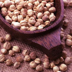 candlenuts