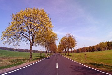 Fototapeta premium Landstraße