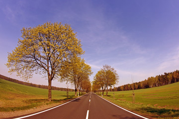 Fototapeta premium Landstraße
