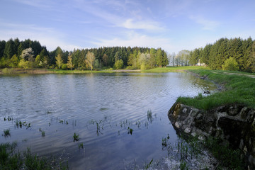 Picturesque pond