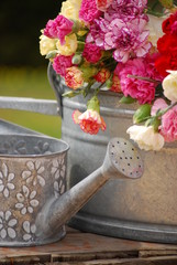 fleurs et arrosoir © soniaC
