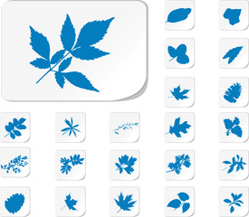 Fototapeta na wymiar The set from silhouettes of leaflets of plants