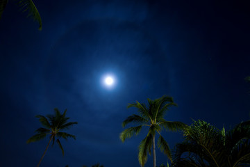 Fototapeta na wymiar Tropical moon