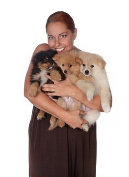 Three Pomeranian Puppies Being Held by a Woman