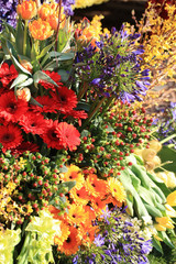 Colorful flower arrangement