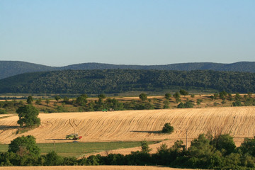 Fototapeta na wymiar combine harvesting