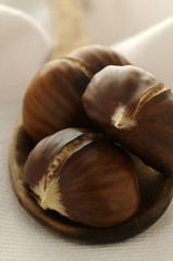 Caldarroste