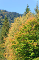 Fototapeta na wymiar Autumn mountain hill view