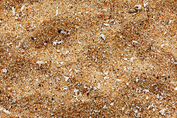 Beach sand of grinded sea shells
