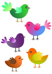 Decorative birds - vector