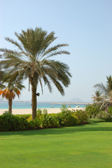 Fototapeta na wymiar Beach of luxury hotel with a view on Palm Jumeirah man-made isla