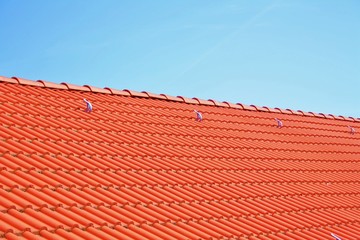 Dach - Entwicklungskonzept