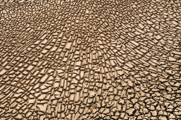 Arid Soil