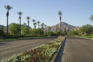 Scenic Indian Wells