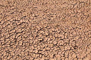 Arid Soil