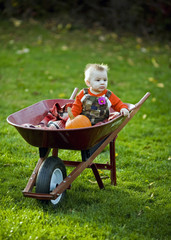 Cute boy sitting in a wheelbarrow