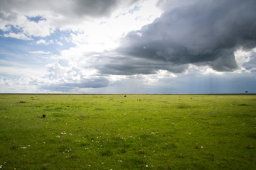 Masai Mara plain