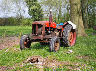Obraz premium Old Rusty Tractor in a woodland Glade