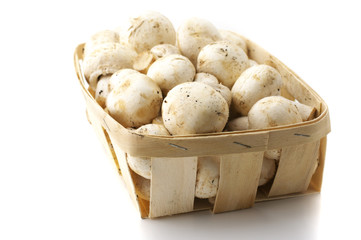 Mushrooms in basket