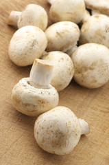 Mushrooms