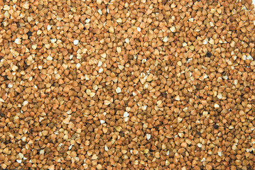 Buckwheat background