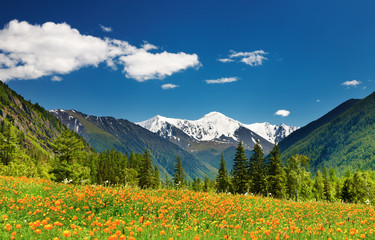 Mountain landscape