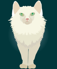 white cat with green eyes